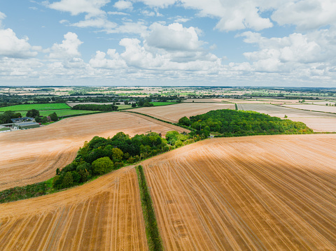 Aerial view of a harvested wheat field