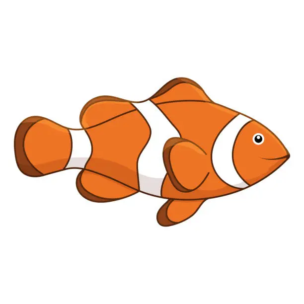 Vector illustration of Clown fish illustration.