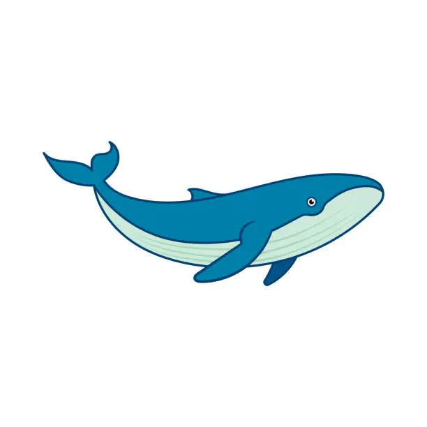 Vector illustration of Whale illustration.