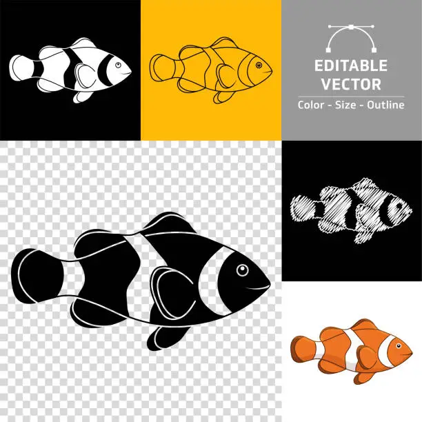 Vector illustration of Clown fish icon.