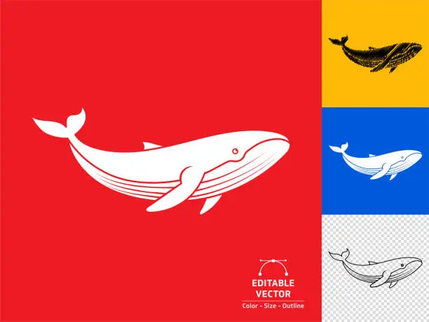 Vector illustration of Whale icon.