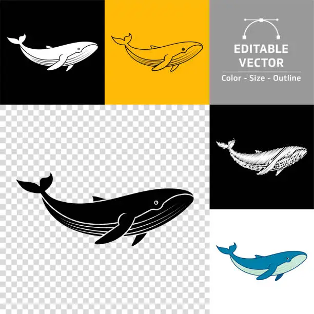 Vector illustration of Whale icon.