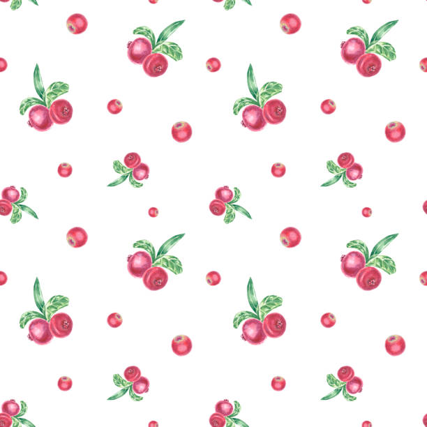 ilustrações, clipart, desenhos animados e ícones de padrão sem costura com lingonberry vermelho pintado à mão e folhas verdes. ilustração botânica em aquarela elemento isolado no fundo branco. arte para design de alimentos, logotipo, padrão, composição, papel de parede. bagas redondas - healthy eating summer berry branch