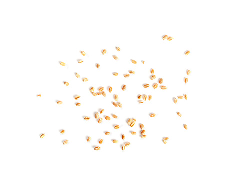 Wheat Grains Isolated, Scattered Barley, Dry Cereal Seeds for Bread, Spelta Healthy Organic Food, Wheat Grains Heap on White Background Top View