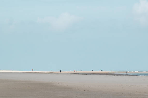 istock Panoramic view of a wide empty beach at low tide by the sea 1731874677