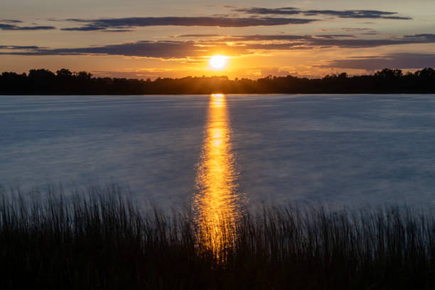 istock Orange summer sunset  with trees in silhouette at North Turtle Lake. 1731885721