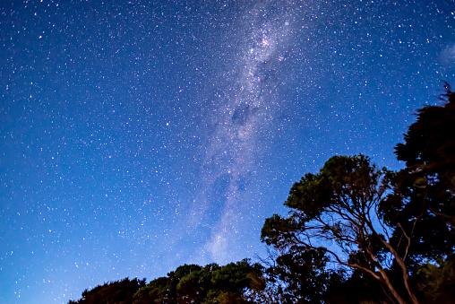 Milky Way and starry sky above the shape of trees in Abel Tasman National Park, New Zealand