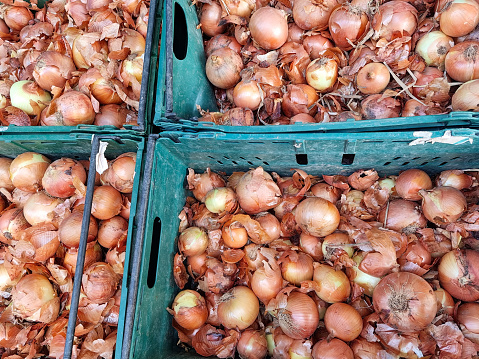 Organic Food Onion