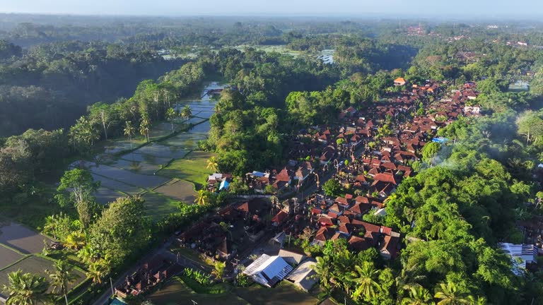 Sebatu village, Gianyar regency of Bali Island. Plan view from drone, traditional house compounds build along straight road