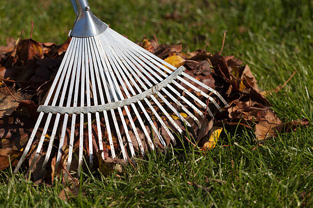 istock Rake, Leaves on Grass in Garden 173192451