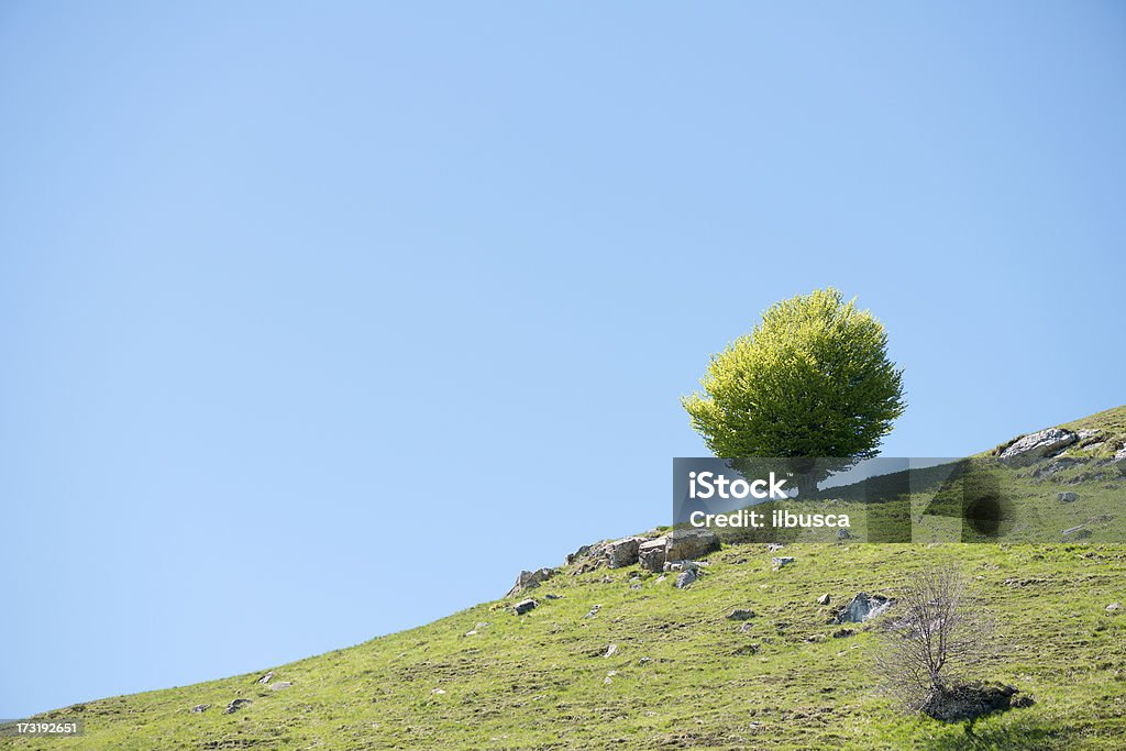Mountain and hill landscape in Italian Alps Mountain and hill landscape in Italian Alps, blue sky Beauty Stock Photo