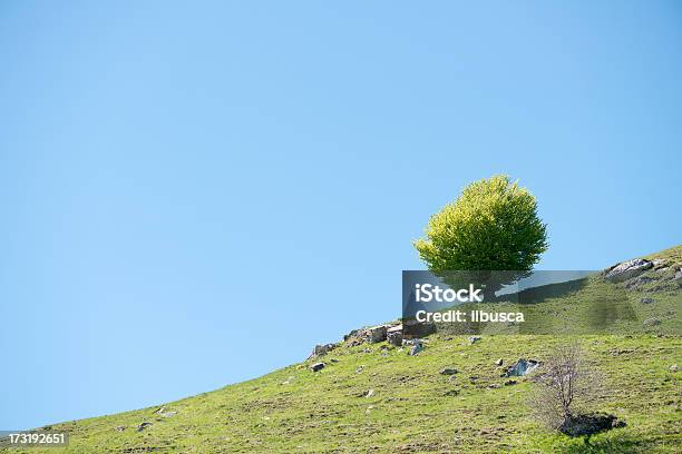 Mountain And Hill Landscape In Italian Alps Stock Photo - Download Image Now - Beauty, Beauty In Nature, Blue