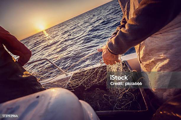 Fishermen At Work Pulling The Nets Stock Photo - Download Image Now - Commercial Fishing Net, Fisherman, Fishing Net