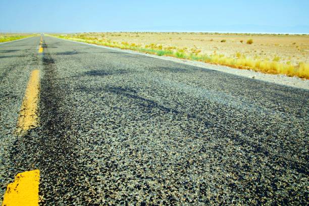 istock Country Road in Nevada 1731929950