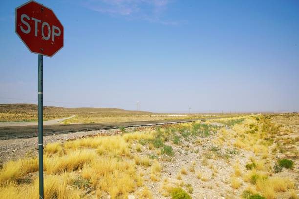 istock Country road in Nevada 1731929961