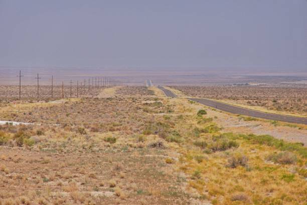 istock Country road in Nevada 1731931039