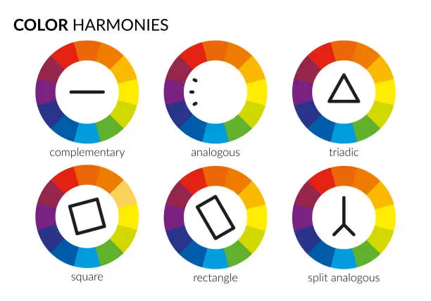 Vector illustration of color harmonies infographic