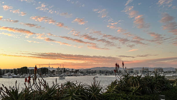 istock Colorful Sunset in Marina del Rey, CA 1731938836