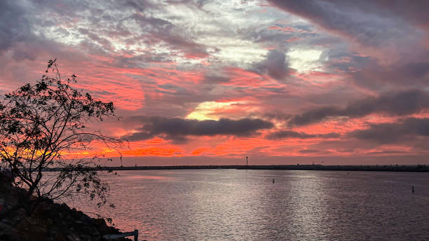 istock Colorful Sunset in Marina del Rey, CA 1731941171