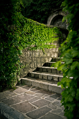 Old overgrown stone stairs.