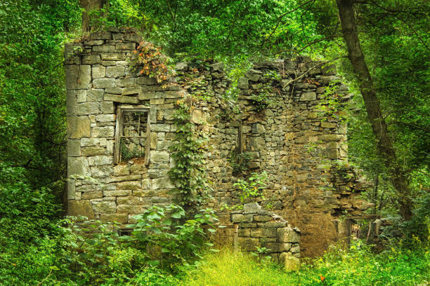 istock Old Dilapidated Abandoned Small House of Stone amid Green Trees 1731959911