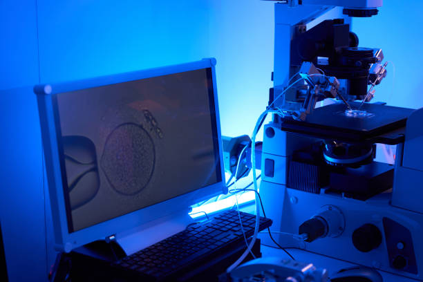 istock Closeup of ICSI procedure in lab setting 1732004631