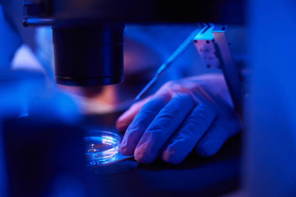 istock Experienced laboratory scientist preparing for cell micromanipulation 1732006394