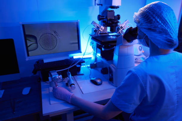 istock Experienced reproductive scientist doing intracytoplasmic sperm injection 1732009146