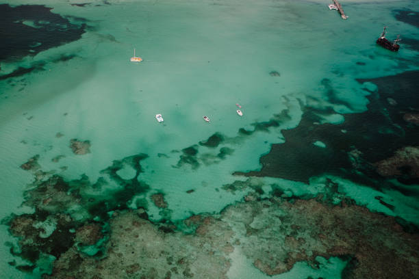 istock Sea in Punta Cana 1732016304