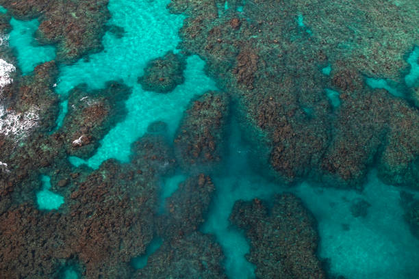 Aerial view from drone on Atlantic ocean with reef and waves, caribbean destinations stock photo