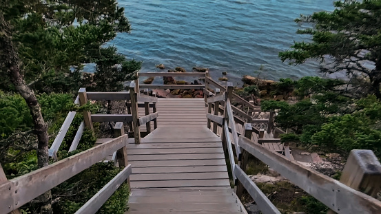 Looking down a concrete staircase in a public park.