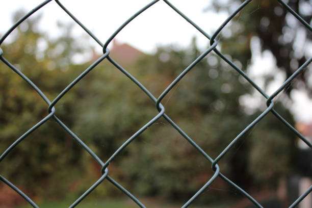istock Green chain link fence up close blurred background 1732028172
