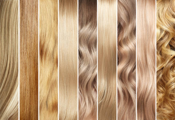 istock Collage of blonde hair color samples 1732032267