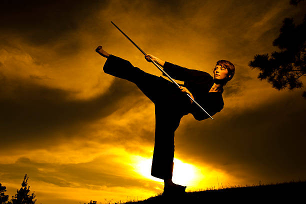 istock Woman in silhouette practicing martial arts, karate. Sunset. Outdoors. Sky. 173203915
