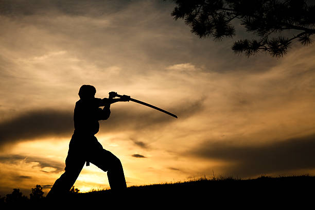 Teenager in silhouette practicing martial arts at sunset.