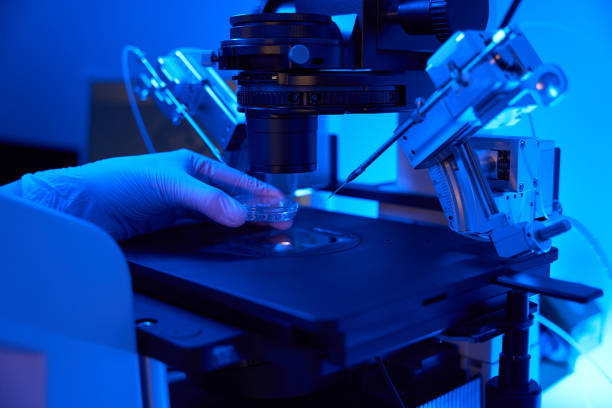 istock LAb researcher preparing for cell manipulation with micromanipulator in lab 1732048537