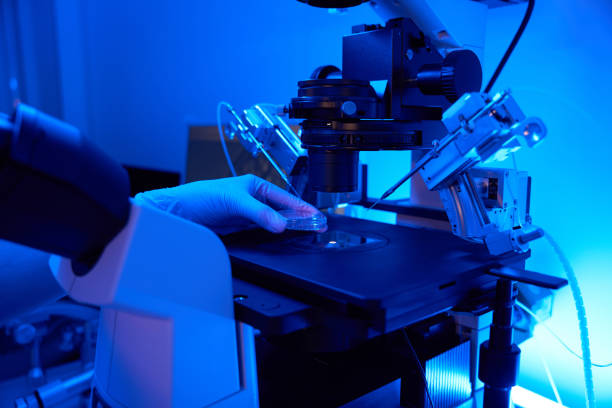 istock Lab scientist preparing for cell manipulation with micromanipulator 1732049684