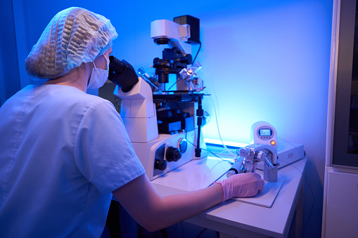 Back view of embryologist doing intracytoplasmic sperm injection under microscope using micromanipulator and micropipettes