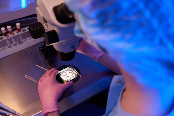 istock Lab geneticist carrying out micropipette cell aspiration under powerful microscope 1732049816