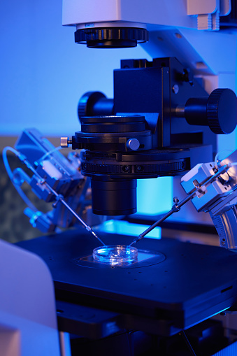 Closeup of ICSI setup with inverted microscope equipped with micromanipulators and microinjectors