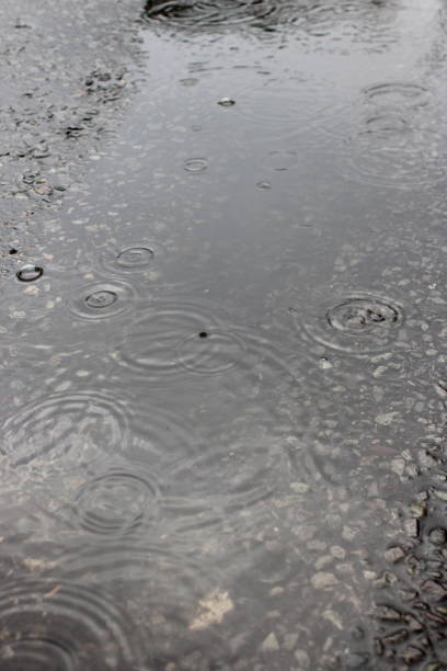 istock Puddle of water on a road, rain drops rippling off surface 1732051566