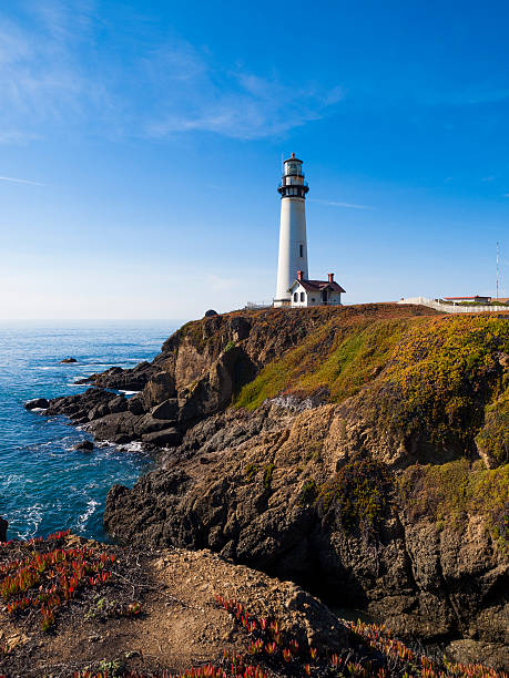 istock Pigeon Point Lighthouse California 173205616