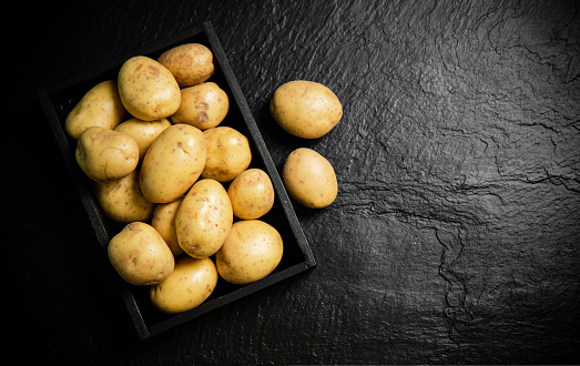 Fresh yellow potatoes on a dark background on the ground. Bags and baskets