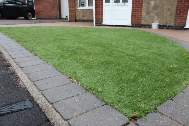 istock A patch of artificial grass, taken at day 1732063987