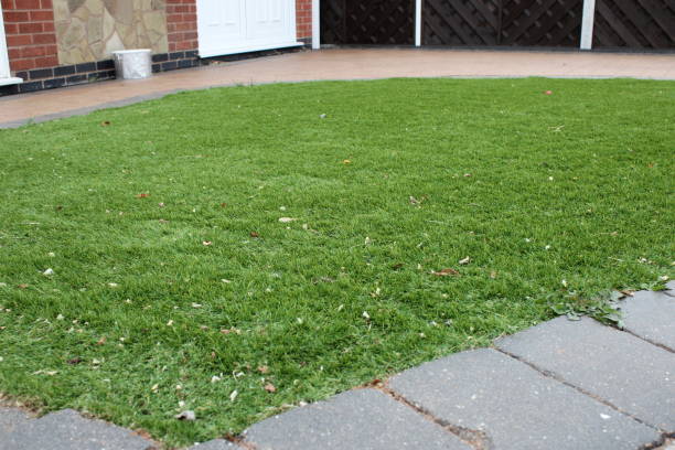 istock A patch of artificial grass, taken at day 1732063990