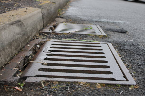istock Grate of a storm sewer drain up close perspective 1732065799