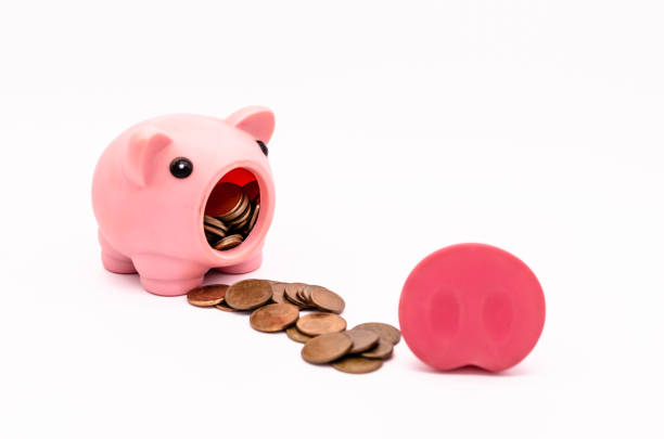 istock A pink piggy bank 1732073038