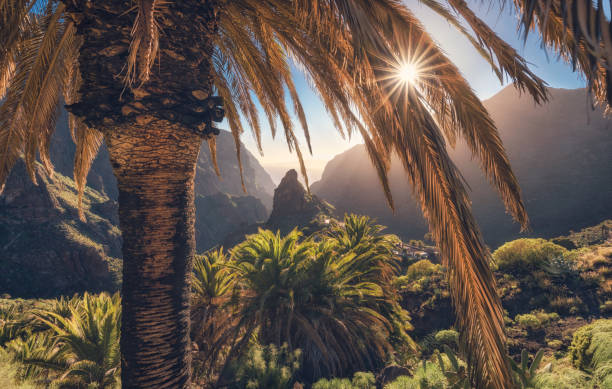 Masca - a small mountain village, Tenerife, Canary Islands stock photo