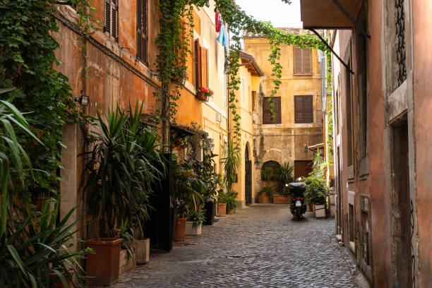 istock wall of a building with potted plants. Charming facade with shutters. Paved sidewalk 1732076075