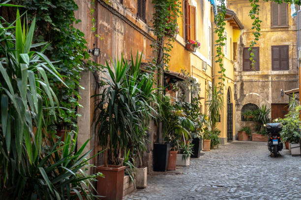 istock wall of a building with potted plants. Charming facade with shutters. Paved sidewalk 1732076092